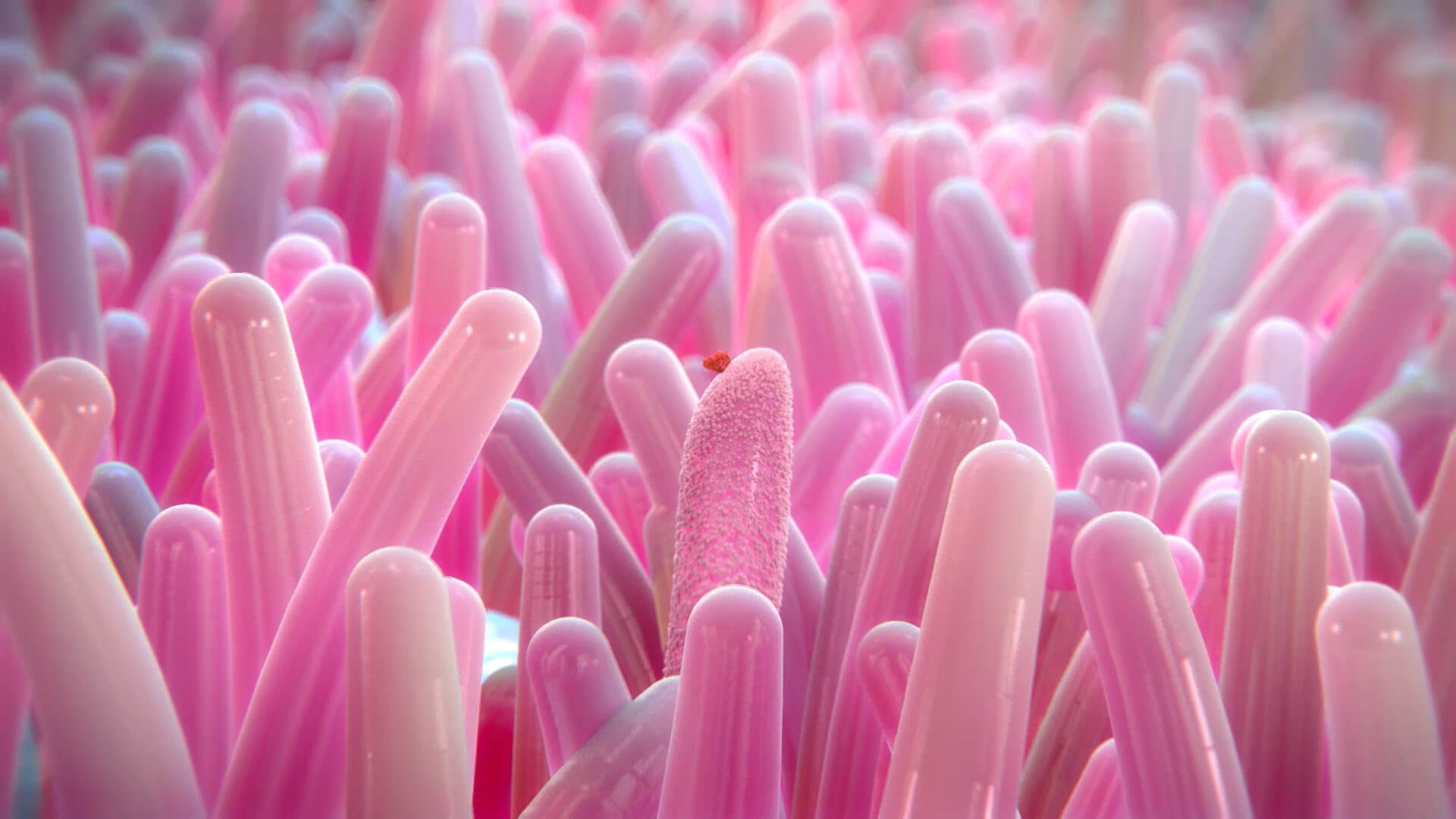 Saccharomyces Boulardii Cncm I 745 A Unique Yeast Probiotic With Proven Gastro Intestinal Health Benefits That Target Diarrhea And Its Causes