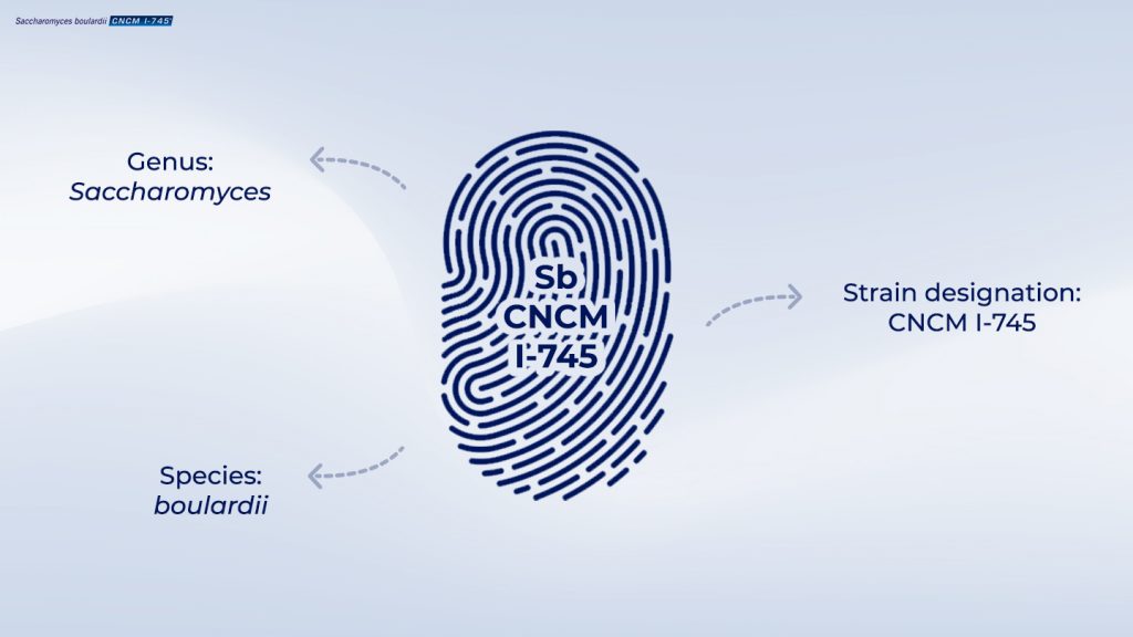 How Much Saccharomyces Boulardii Should I Take Single Unique Strain – sboulardii – CNCM i-745