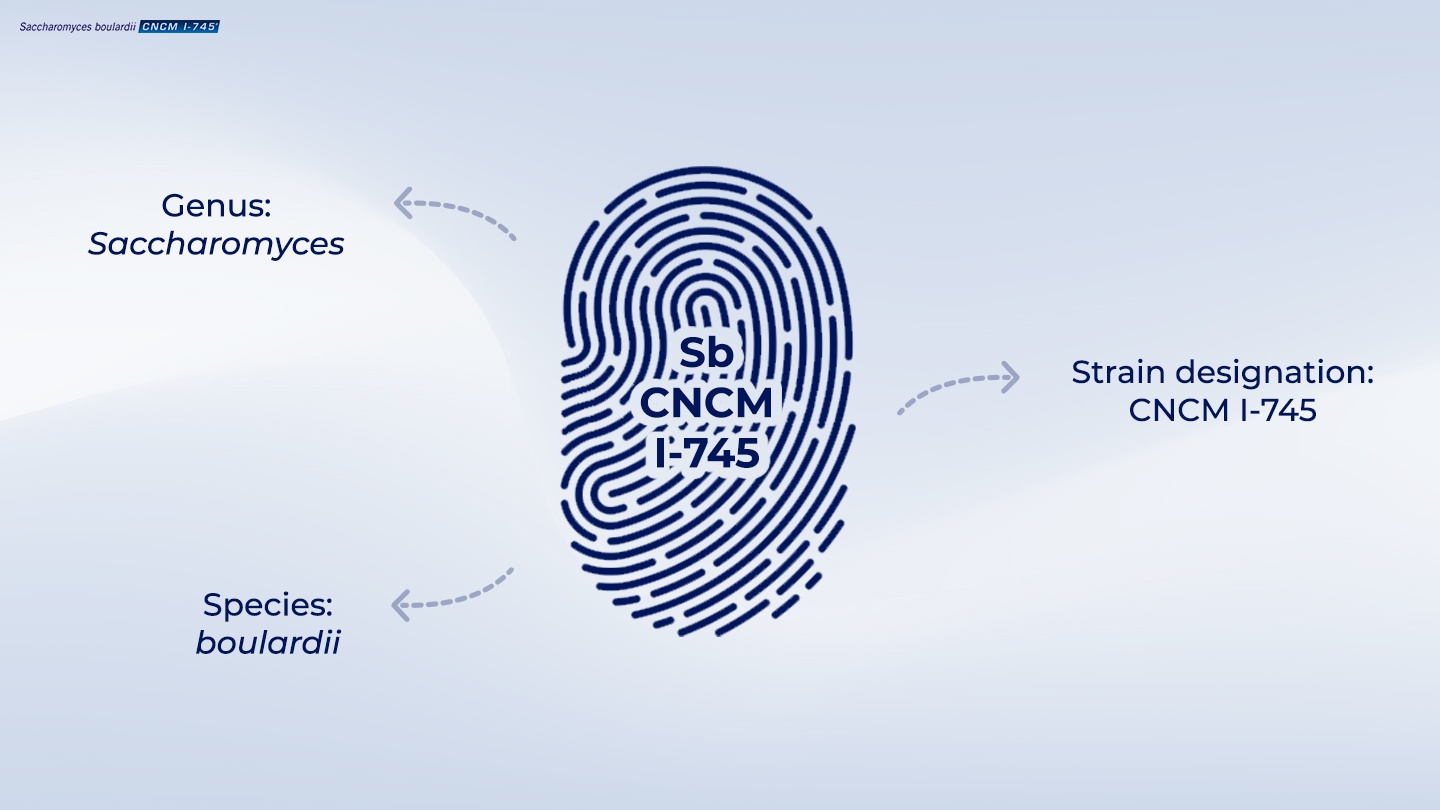 Image showing a fingerprint with the strain designation that identifies the unique single strain yeast probiotic Saccharomyces boulardii CNCM I-745