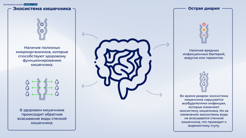Острая диарея — sboulardii — CNCM i-745