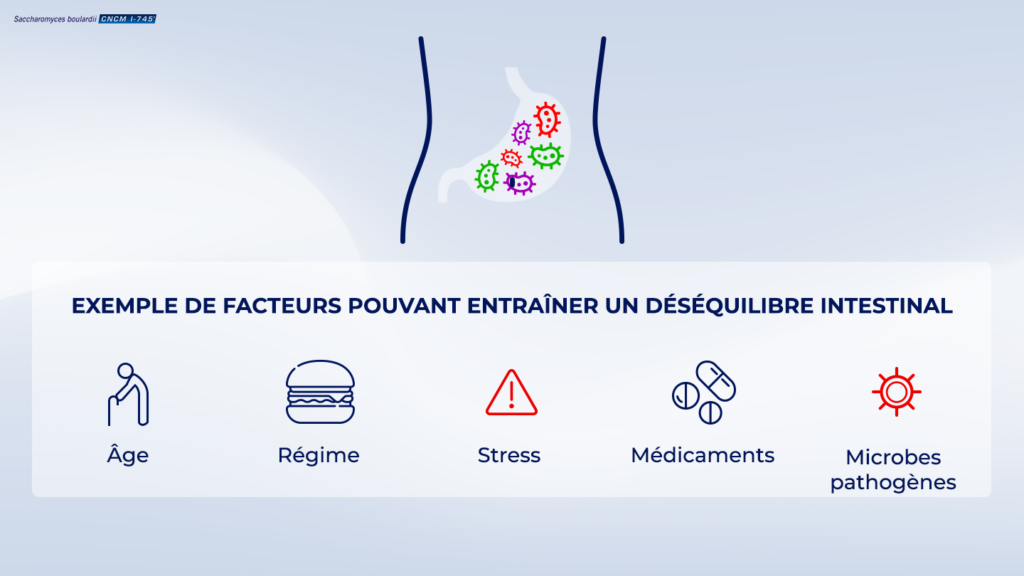 D s quilibre Intestinal Sboulardii CNCM I 745 d-s-quilibre-intestinal-sboulardii-cncm-i-745